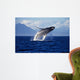 Humpback Whale Breaching inside Wall Decal