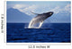 Humpback Whale Breaching inside Wall Decal