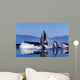 Group Humpback Whale Feeding Wall Decal Design 3