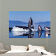 Group Humpback Whale Feeding Wall Decal Design 3
