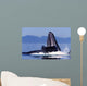 Humpback Whale Feeding from Wall Decal