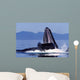 Humpback Whale Feeding from Wall Decal