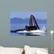 Humpback Whale Feeding from Wall Decal