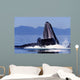 Humpback Whale Feeding from Wall Decal