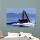 Humpback Whale Feeding from Wall Decal