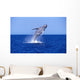 Humpback Whale Breaching Lower Wall Decal