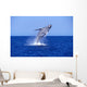 Humpback Whale Breaching Lower Wall Decal