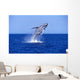 Humpback Whale Breaching Lower Wall Decal