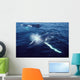Humpback Whale Resting Gulf Wall Decal Design 2
