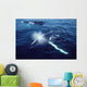 Humpback Whale Resting Gulf Wall Decal Design 2