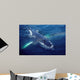 Humpback Whale Resting Gulf Wall Decal Design 1