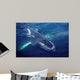 Humpback Whale Resting Gulf Wall Decal Design 1