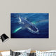 Humpback Whale Resting Gulf Wall Decal Design 1