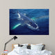 Humpback Whale Resting Gulf Wall Decal Design 1