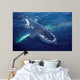 Humpback Whale Resting Gulf Wall Decal Design 1