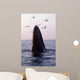 Humpback Whale Gulf Maine Wall Decal