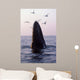 Humpback Whale Gulf Maine Wall Decal