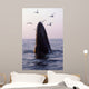 Humpback Whale Gulf Maine Wall Decal