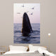 Humpback Whale Gulf Maine Wall Decal