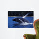 Humpback Whale Calf Breaching Wall Decal