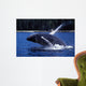 Humpback Whale Calf Breaching Wall Decal