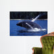 Humpback Whale Calf Breaching Wall Decal