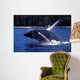 Humpback Whale Calf Breaching Wall Decal