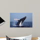 Humpback Whale Breaching Gulf Wall Decal