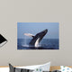 Humpback Whale Breaching Gulf Wall Decal