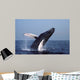 Humpback Whale Breaching Gulf Wall Decal