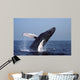 Humpback Whale Breaching Gulf Wall Decal