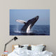 Humpback Whale Breaching Gulf Wall Decal