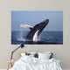 Humpback Whale Breaching Gulf Wall Decal