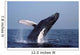 Humpback Whale Breaching Gulf Wall Decal
