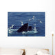 Humpback Whale Feeding Gulf Wall Decal