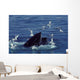 Humpback Whale Feeding Gulf Wall Decal
