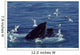 Humpback Whale Feeding Gulf Wall Decal