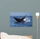 Humpback Whale Breaching Mexico Wall Decal