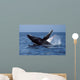 Humpback Whale Breaching Mexico Wall Decal
