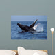 Humpback Whale Breaching Mexico Wall Decal