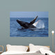 Humpback Whale Breaching Mexico Wall Decal