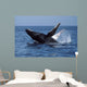 Humpback Whale Breaching Mexico Wall Decal
