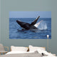 Humpback Whale Breaching Mexico Wall Decal