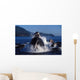 Group Humpback Whale Feeding Wall Decal Design 2