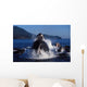 Group Humpback Whale Feeding Wall Decal Design 2
