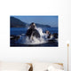 Group Humpback Whale Feeding Wall Decal Design 2