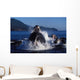 Group Humpback Whale Feeding Wall Decal Design 2