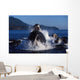 Group Humpback Whale Feeding Wall Decal Design 2