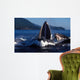 Group Humpback Whale Feeding Wall Decal Design 1