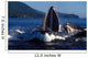 Group Humpback Whale Feeding Wall Decal Design 1